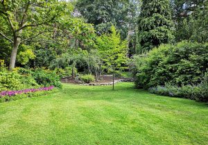 Optimiser l'expérience du jardin à Saint-Sulpice-la-Foret